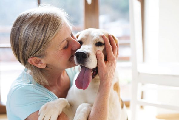 Woman hugging yellow labrador